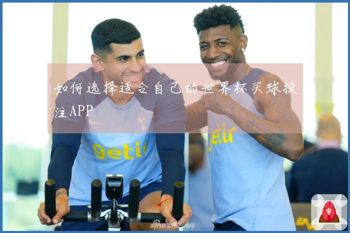 如何选择适合自己的世界杯买球投注APP