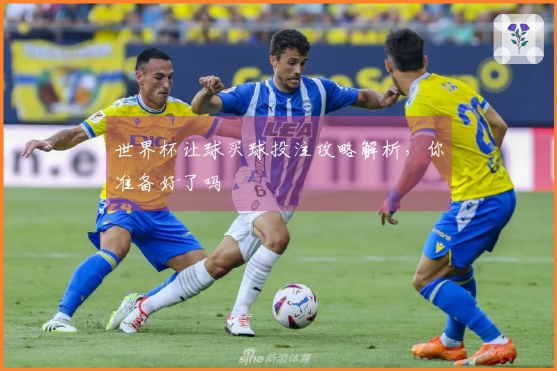 世界杯让球买球投注攻略解析，你准备好了吗