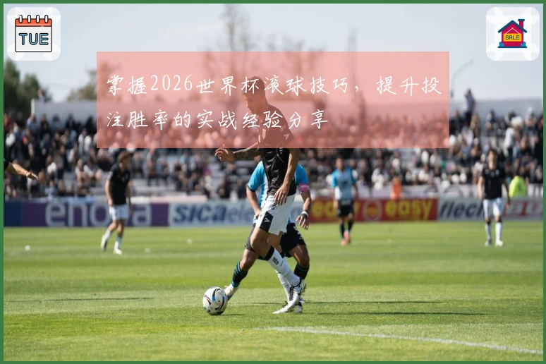 掌握2026世界杯滚球技巧，提升投注胜率的实战经验分享