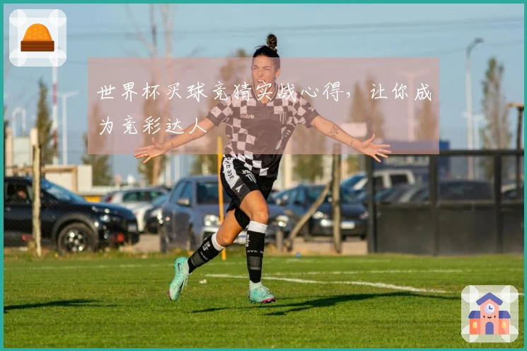 世界杯买球竞猜实战心得，让你成为竞彩达人