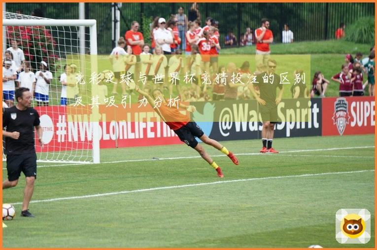 竞彩足球与世界杯竞猜投注的区别及其吸引力分析