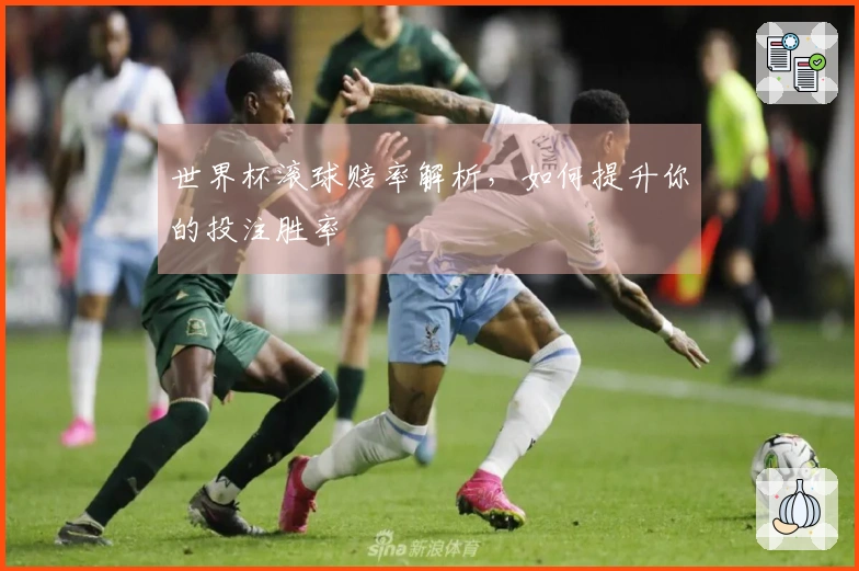 世界杯滚球赔率解析，如何提升你的投注胜率