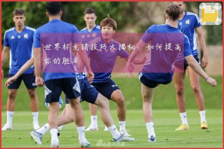 世界杯竞猜技巧大揭秘，如何提高你的胜率
