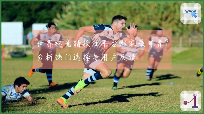 世界杯竞猜投注平台哪家最可靠？分析热门选择与用户反馈