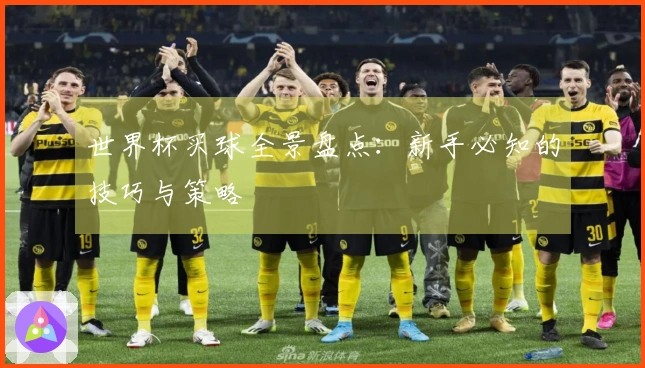 世界杯买球全景盘点：新手必知的技巧与策略