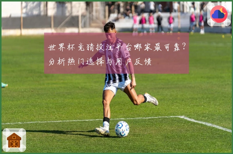 世界杯竞猜投注平台哪家最可靠？分析热门选择与用户反馈