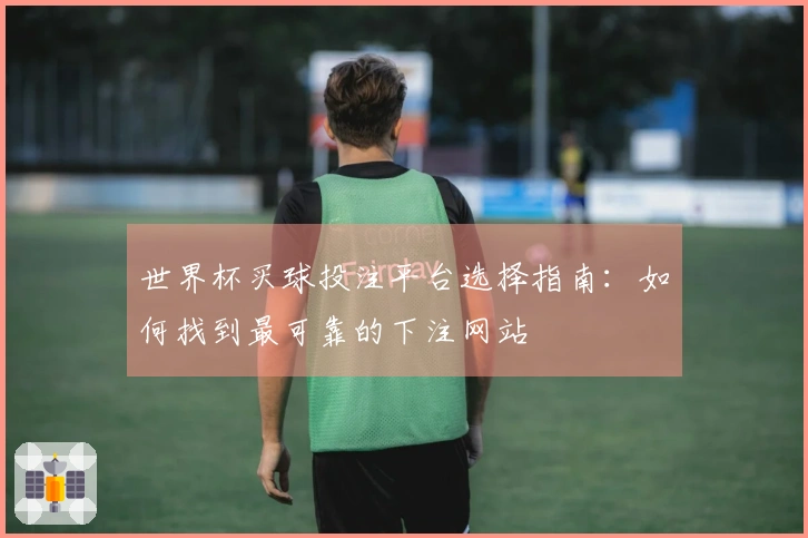 世界杯买球投注平台选择指南：如何找到最可靠的下注网站